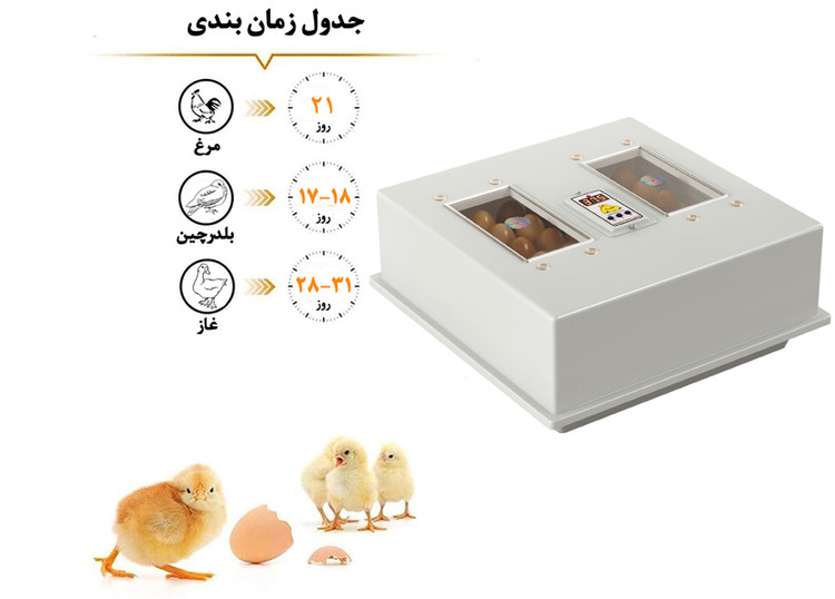 دستگاه جوجه کشی کاکس خانگی دیجیتال