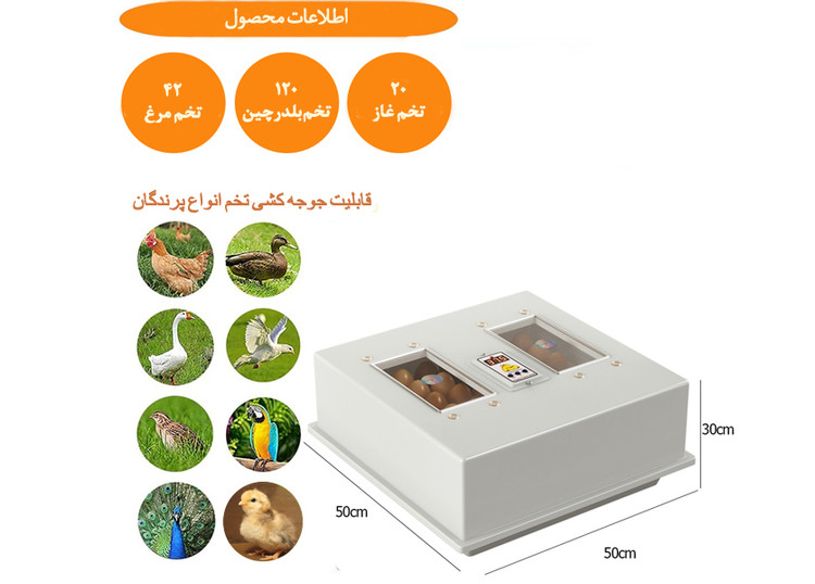 دستگاه جوجه کشی کاکس خانگی دیجیتال