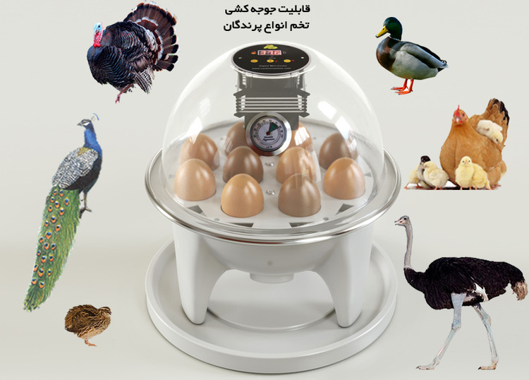 دستگاه جوجه کشی مینی کاکس جنسیس (چرخش اهرمی )