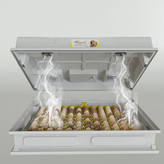 دستگاه جوجه کشی طبقاتی (لیر)