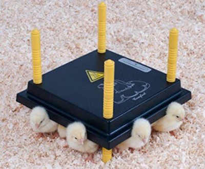 مادر مصنوعی باغی