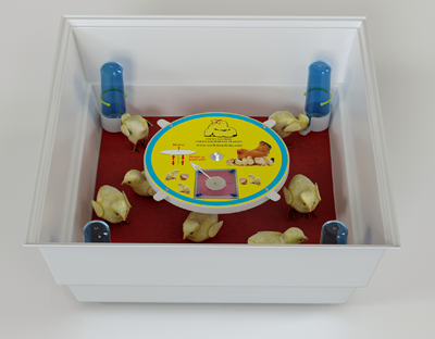 مادر مصنوعی آپارتمانی