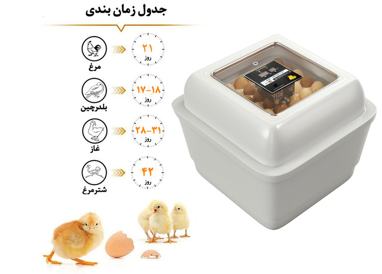 دستگاه جوجه کشی دو جداره 84 عددی