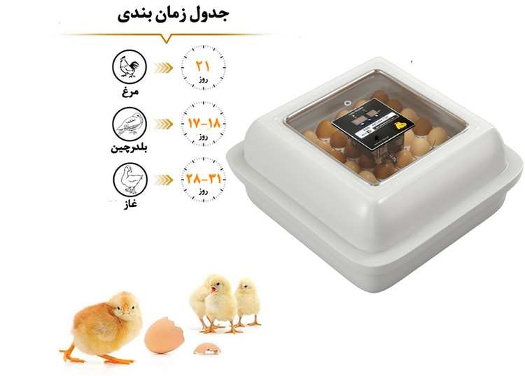 دستگاه جوجه کشی دوجداره 42 عددی