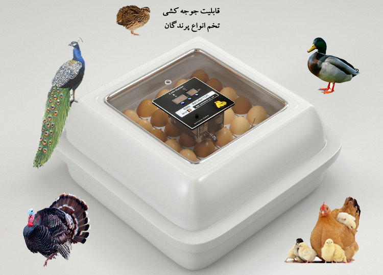 دستگاه جوجه کشی دوجداره 42 عددی