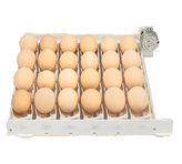 ترنر دستگاه جوجه کشی کاکس خانگی دیجیتال