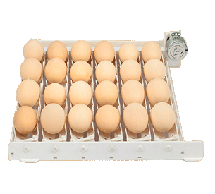 ترنر دستگاه جوجه کشی کاکس خانگی دیجیتال