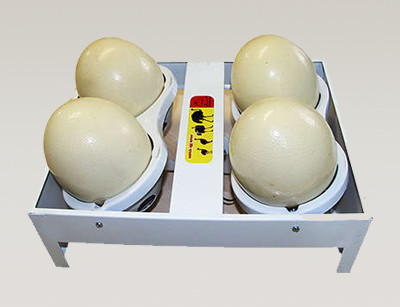 کاپ چرخاننده تخم شترمرغ