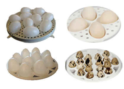 دستگاه جوجه کشی مینی کاکس جنسیس (چرخش اهرمی )