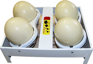 دستگاه جوجه کشی توین کاکس (تخم شترمرغ)