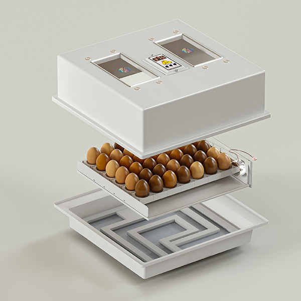 دستگاه جوجه کشی کاکس خانگی دیجیتال با چرخاننده