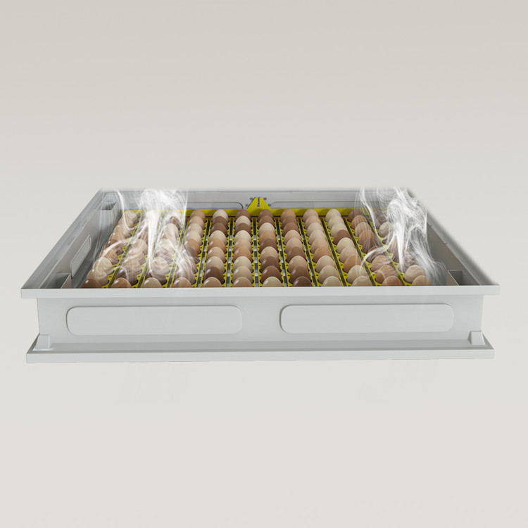 سبد دستگاه جوجه کشی طبقاتی (لیر)