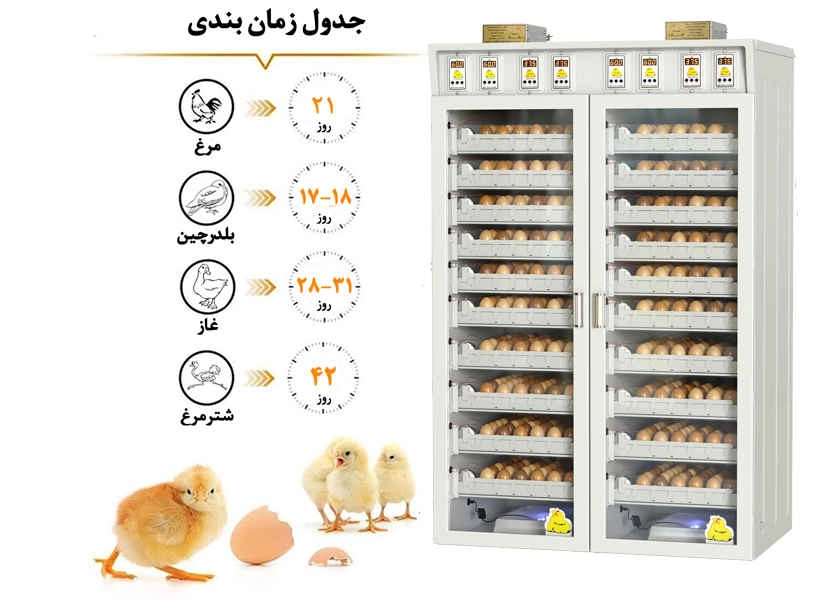 دستگاه جوجه کشی مگا کاکس
