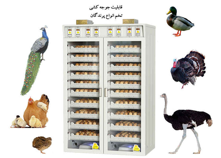 دستگاه جوجه کشی مگا کاکس