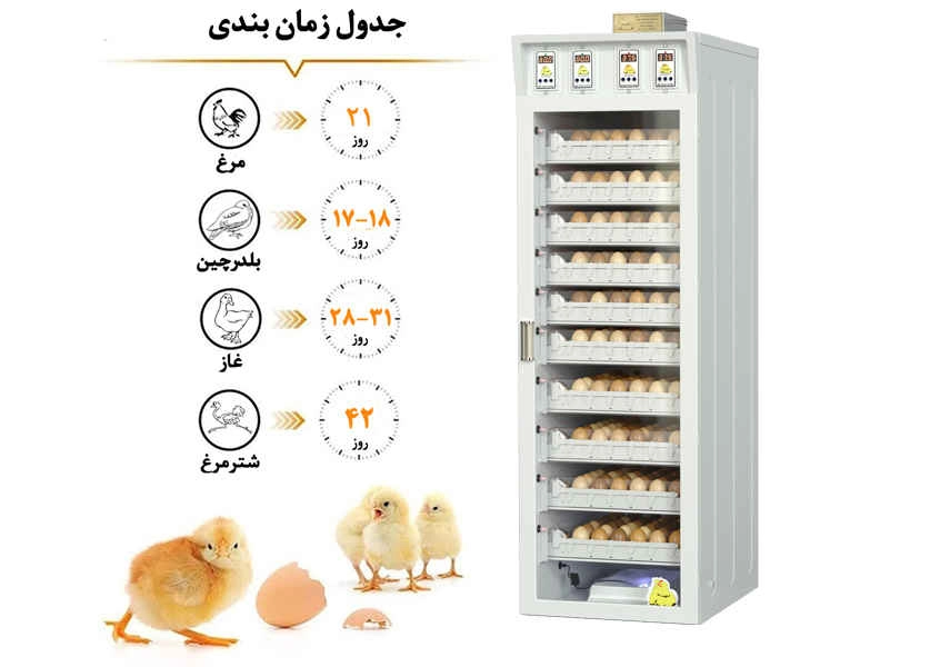 دستگاه جوجه کشی گالا کاکس