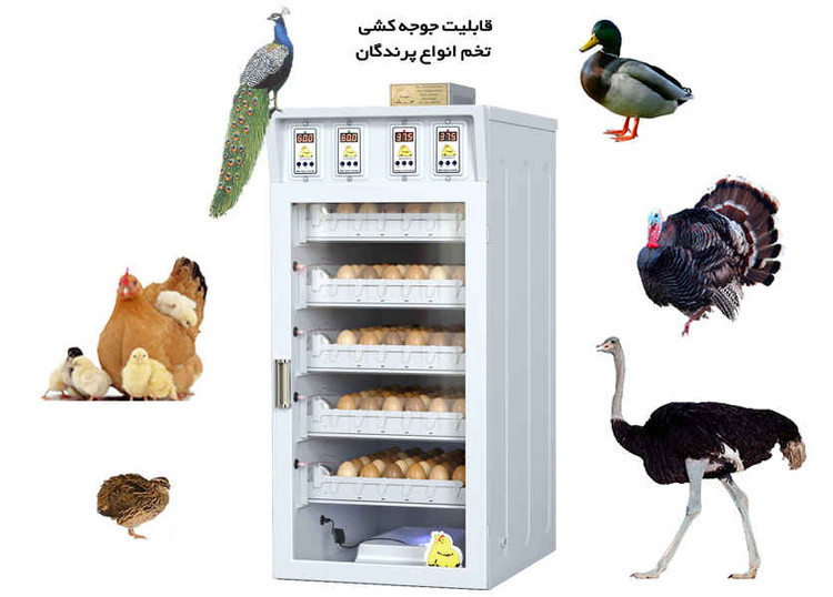 دستگاه جوجه کشی گرین کاکس