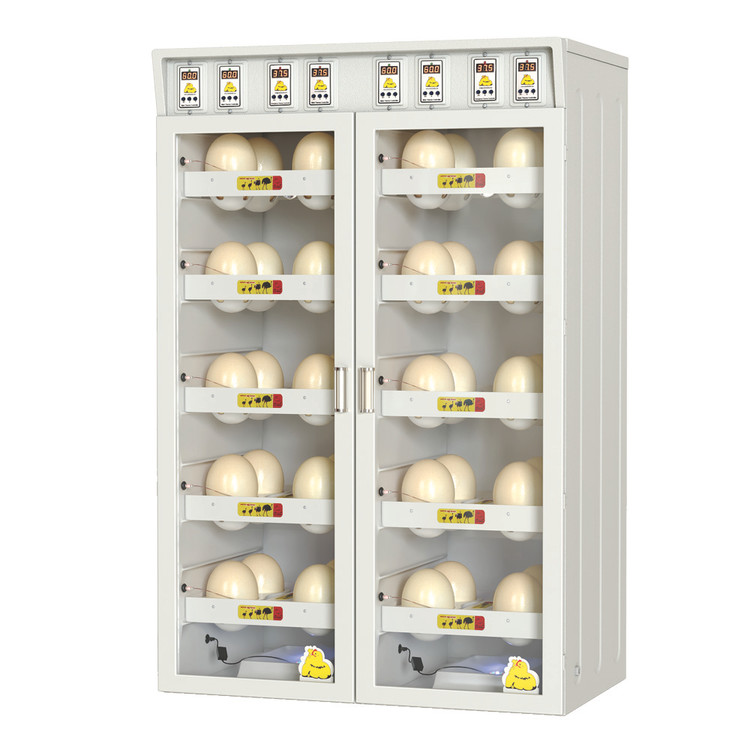 دستگاه جوجه کشی شتر مرغ مگا کاکس