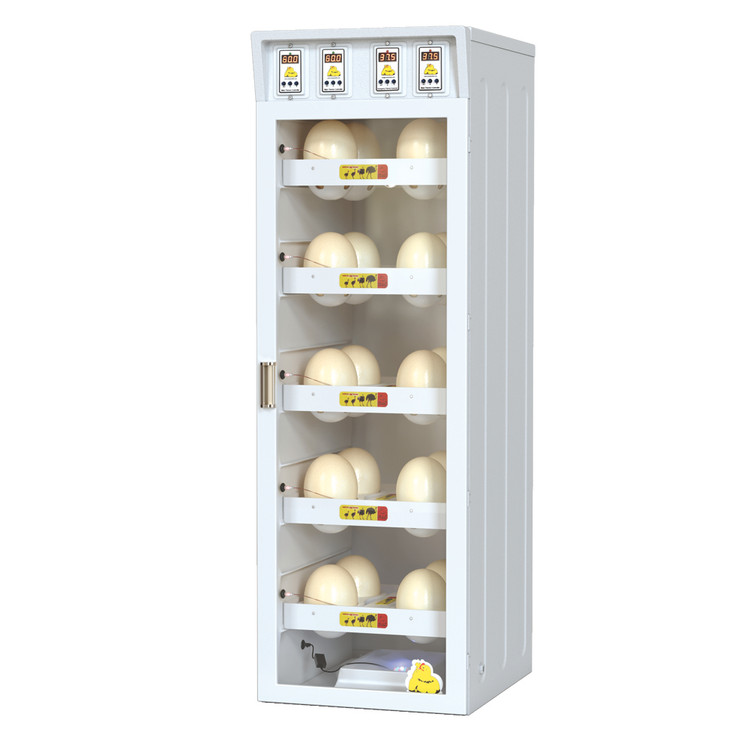 دستگاه جوجه کشی شترمرغ گالا کاکس