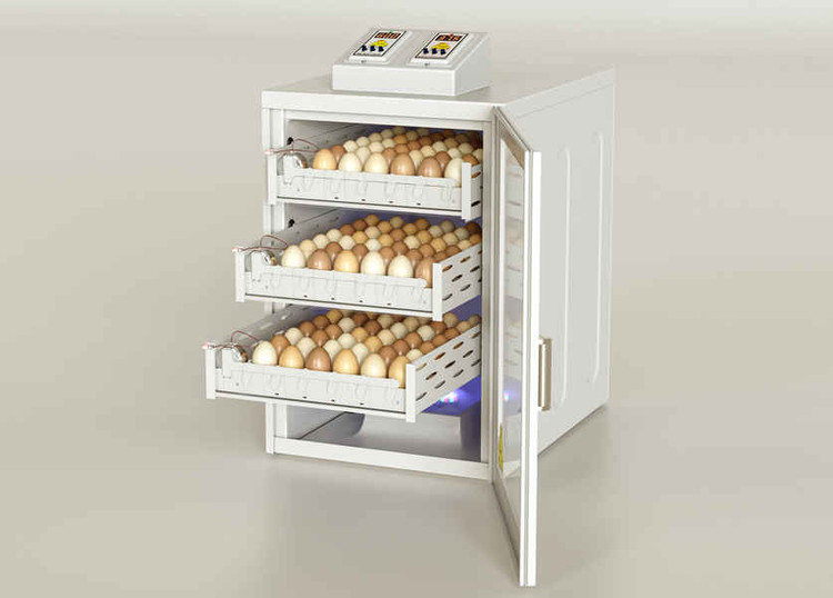 دستگاه جوجه کشی ایزی کاکس