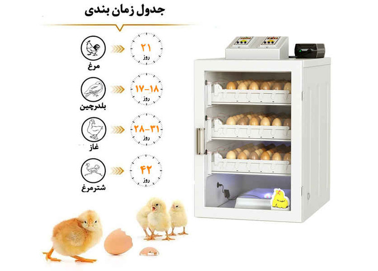 دستگاه جوجه کشی ایزی کاکس