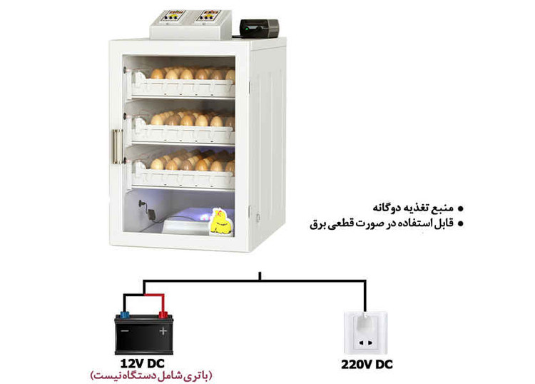 دستگاه جوجه کشی ایزی کاکس