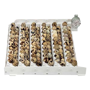 ترنر 120 عددی بلدرچین با موتور 12 ولت