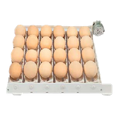 ترنر 20 عددی غاز