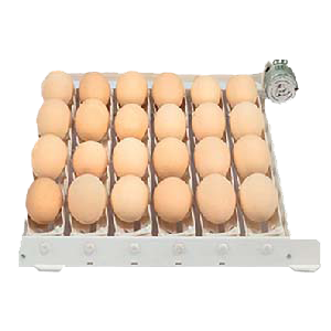 ترنر 20 عددی غاز