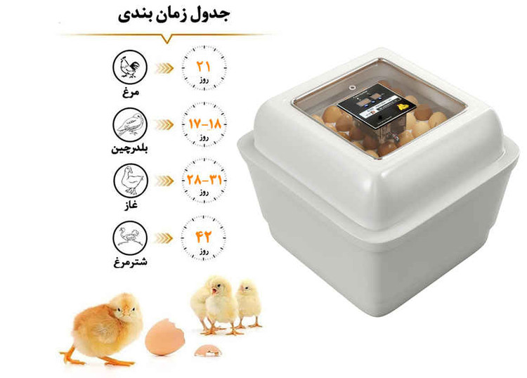 دستگاه جوجه کشی دو جداره 84 عددی با مه پاش اولتراسونیک